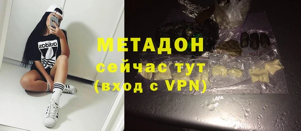 хмурый Аркадак