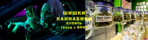 хмурый Аркадак