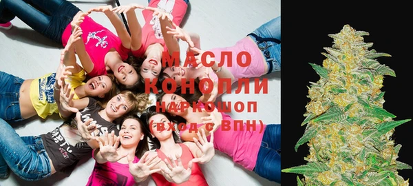 хмурый Аркадак