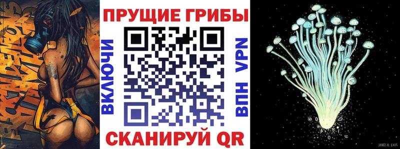 сайты даркнета состав ОМГ ОМГ вход Касли купить сайты Псилоцибиновые грибы Magic Shrooms