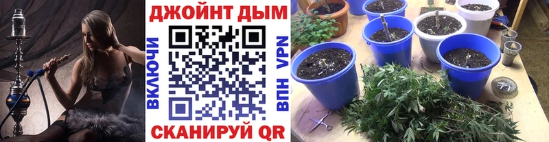 Бошки марихуана AK-47  дарк нет Telegram  Касли  omg ссылка 